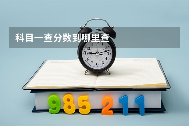 科目一查分数到哪里查