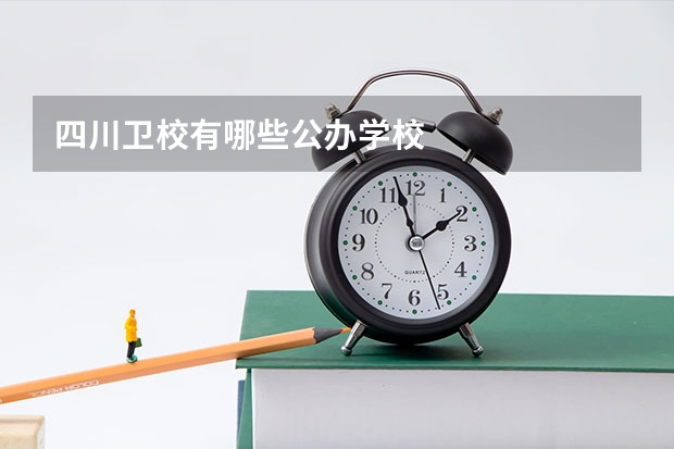 四川卫校有哪些公办学校