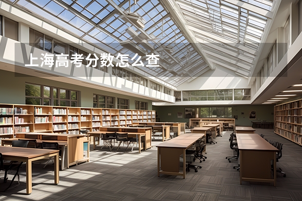 上海高考分数怎么查