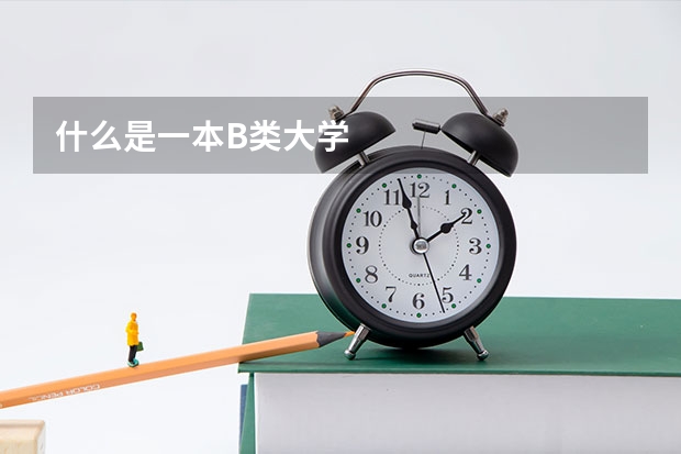 什么是一本B类大学