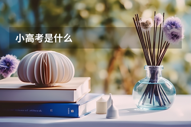 小高考是什么