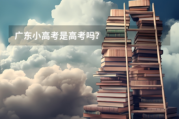 广东小高考是高考吗？