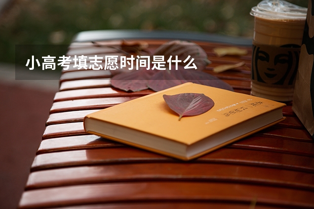 小高考填志愿时间是什么