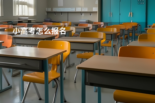 小高考怎么报名