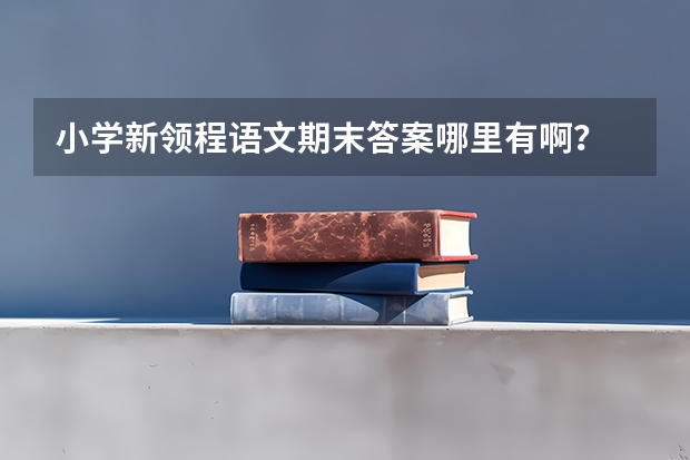 小学新领程语文期末答案哪里有啊？