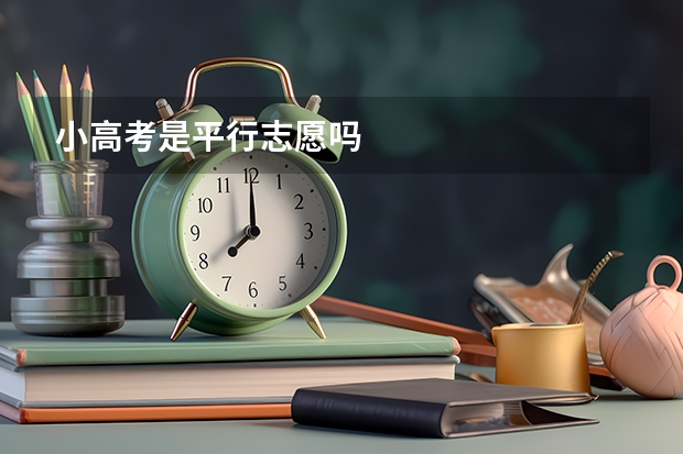 小高考是平行志愿吗