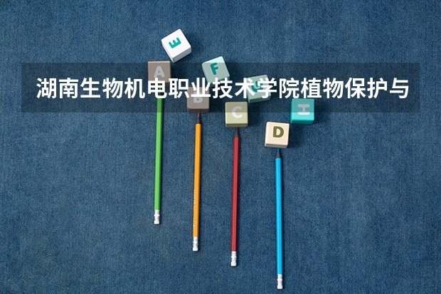 广西2024年新高考使用的是全国卷吗