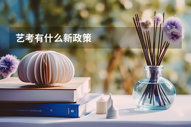 艺考有什么新政策