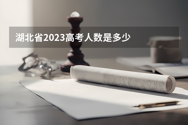 湖北省2023高考人数是多少