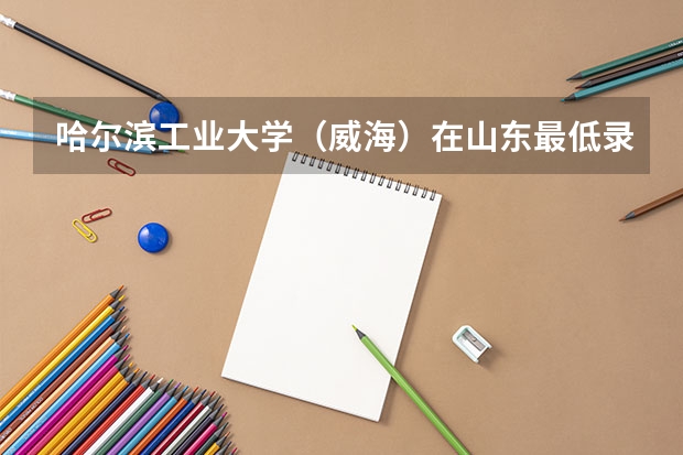 哈尔滨工业大学（威海）在山东最低录取分数参考