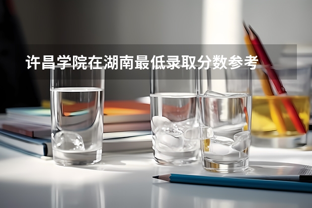 许昌学院在湖南最低录取分数参考
