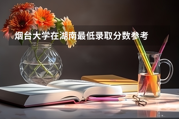 烟台大学在湖南最低录取分数参考