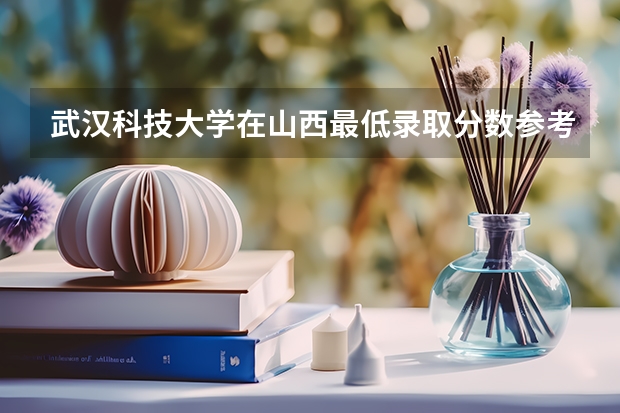 武汉科技大学在山西最低录取分数参考