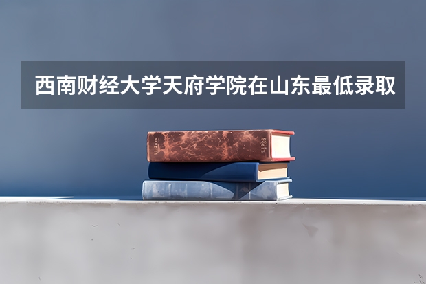西南财经大学天府学院在山东最低录取分数参考