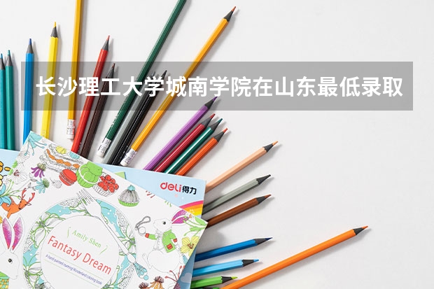 长沙理工大学城南学院在山东最低录取分数参考